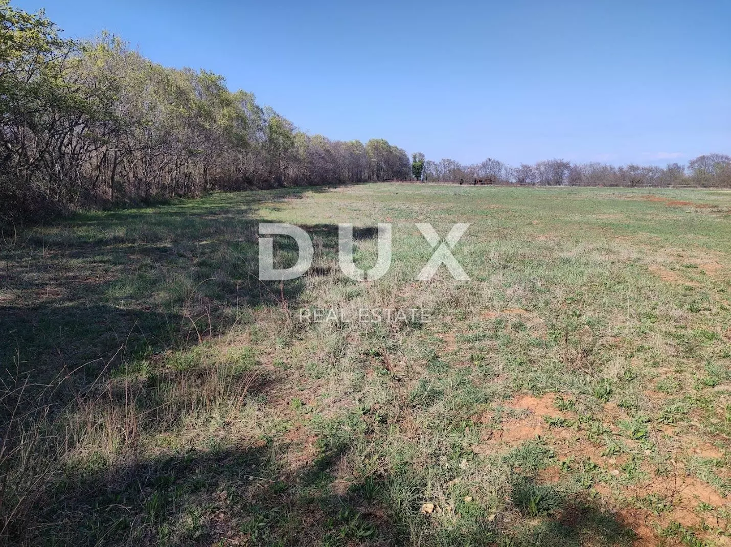 Land In Muntić, Croatia (10.504 M²)