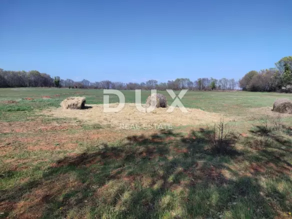 Land In Muntić, Croatia (10.504 M²)