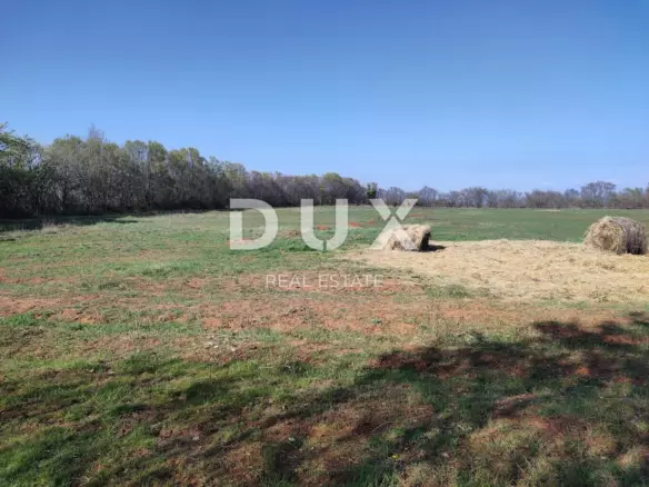 Land In Muntić, Croatia (10.504 M²)