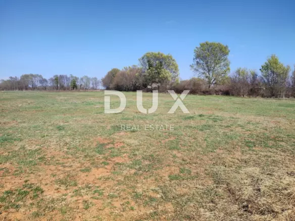 Land In Muntić, Croatia (10.504 M²)
