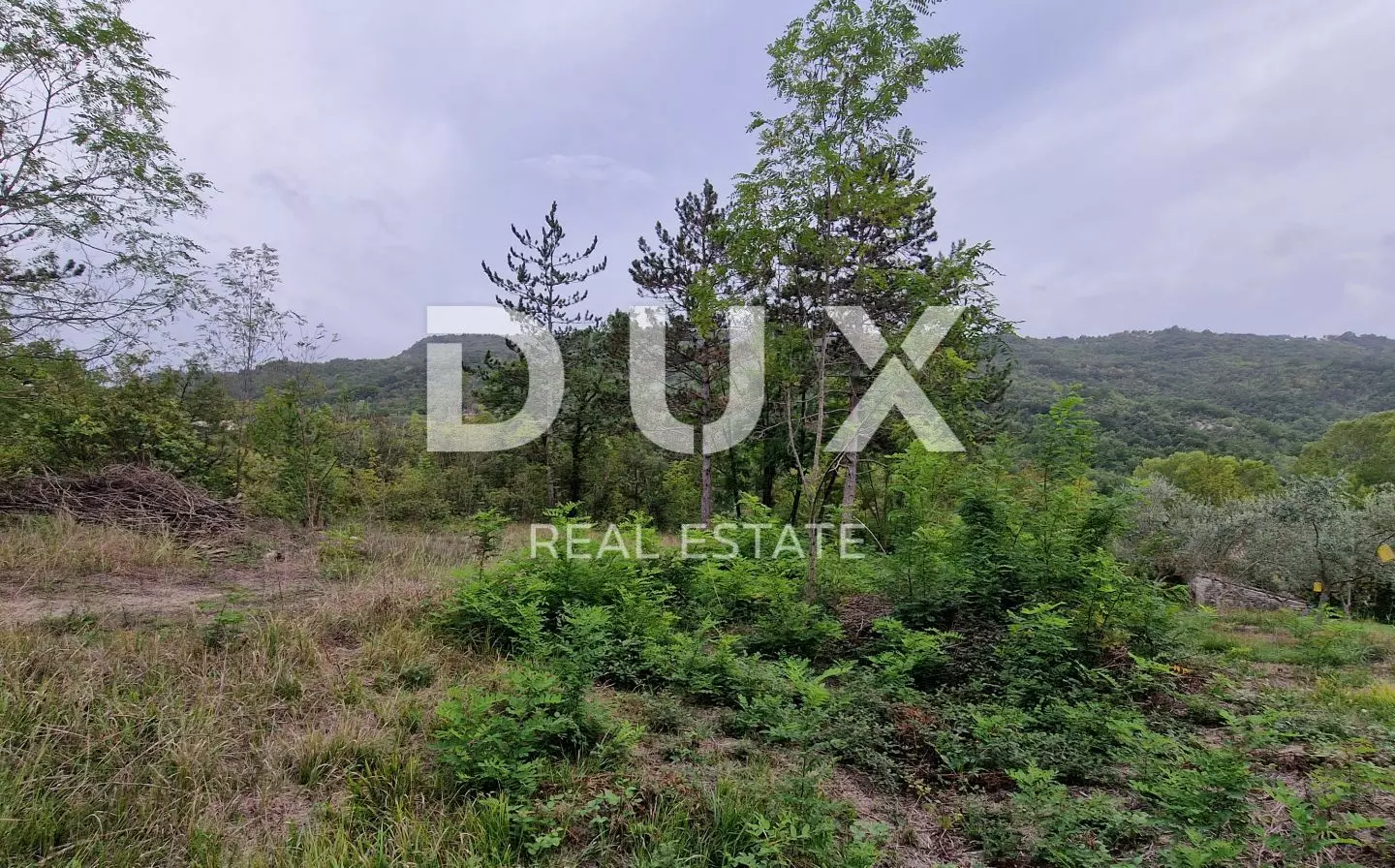 Land In Gračišće, Croatia (9.054 M²)