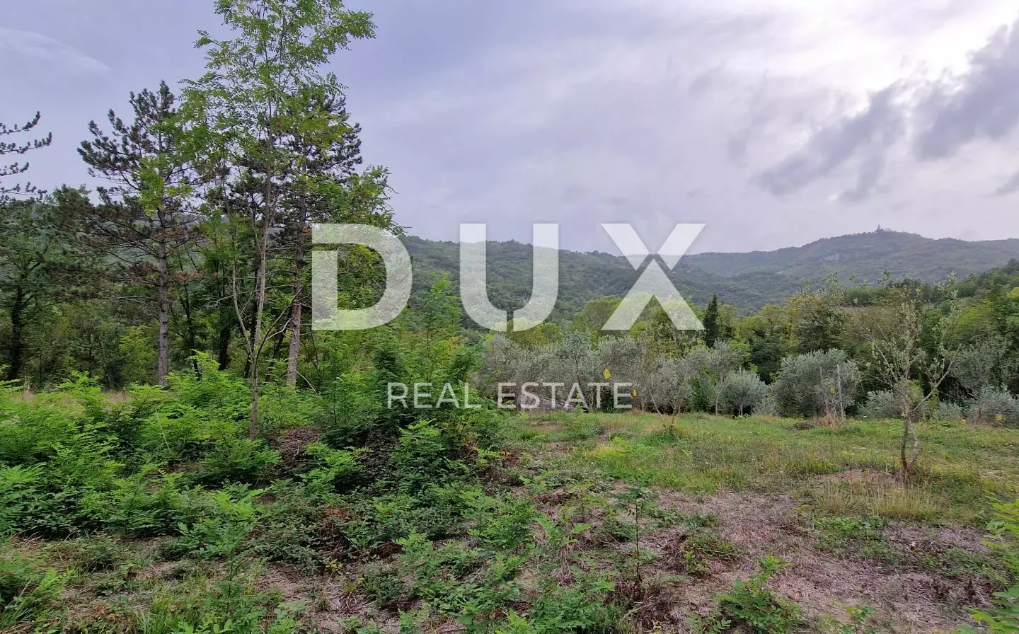 Land In Gračišće, Croatia (9.054 M²)