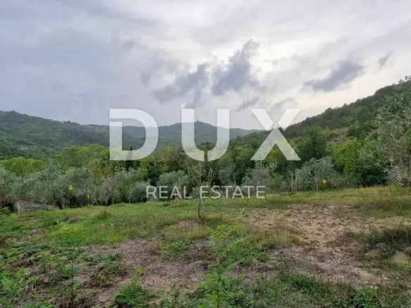 Land In Gračišće, Croatia (9.054 M²)