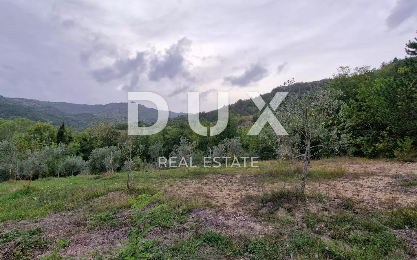 Land In Gračišće, Croatia (9.054 M²)