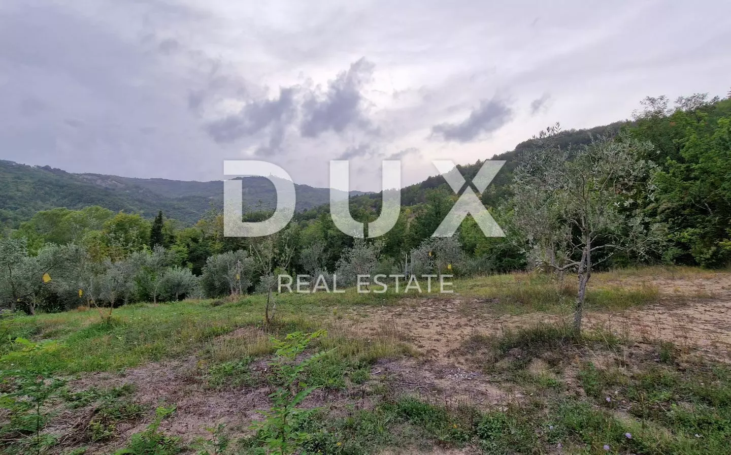 Land In Gračišće, Croatia (9.054 M²)