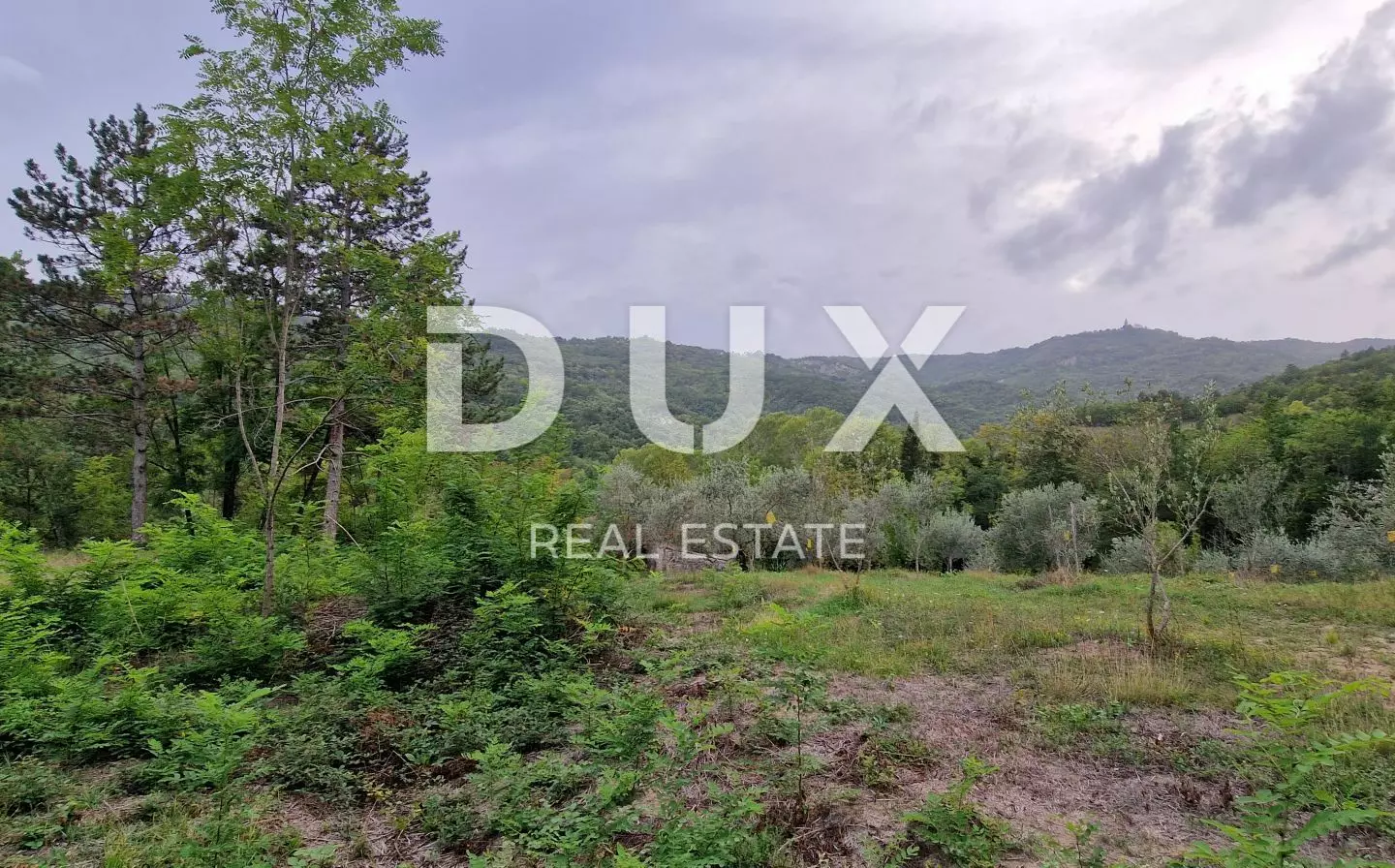 Land In Gračišće, Croatia (9.054 M²)