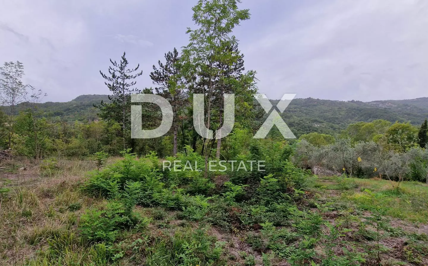 Land In Gračišće, Croatia (9.054 M²)