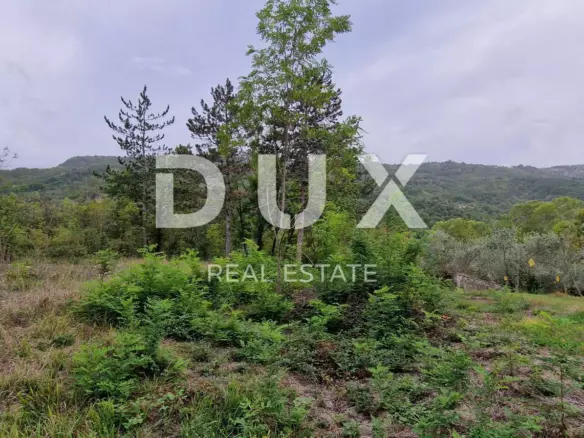 Land In Gračišće, Croatia (9.054 M²)