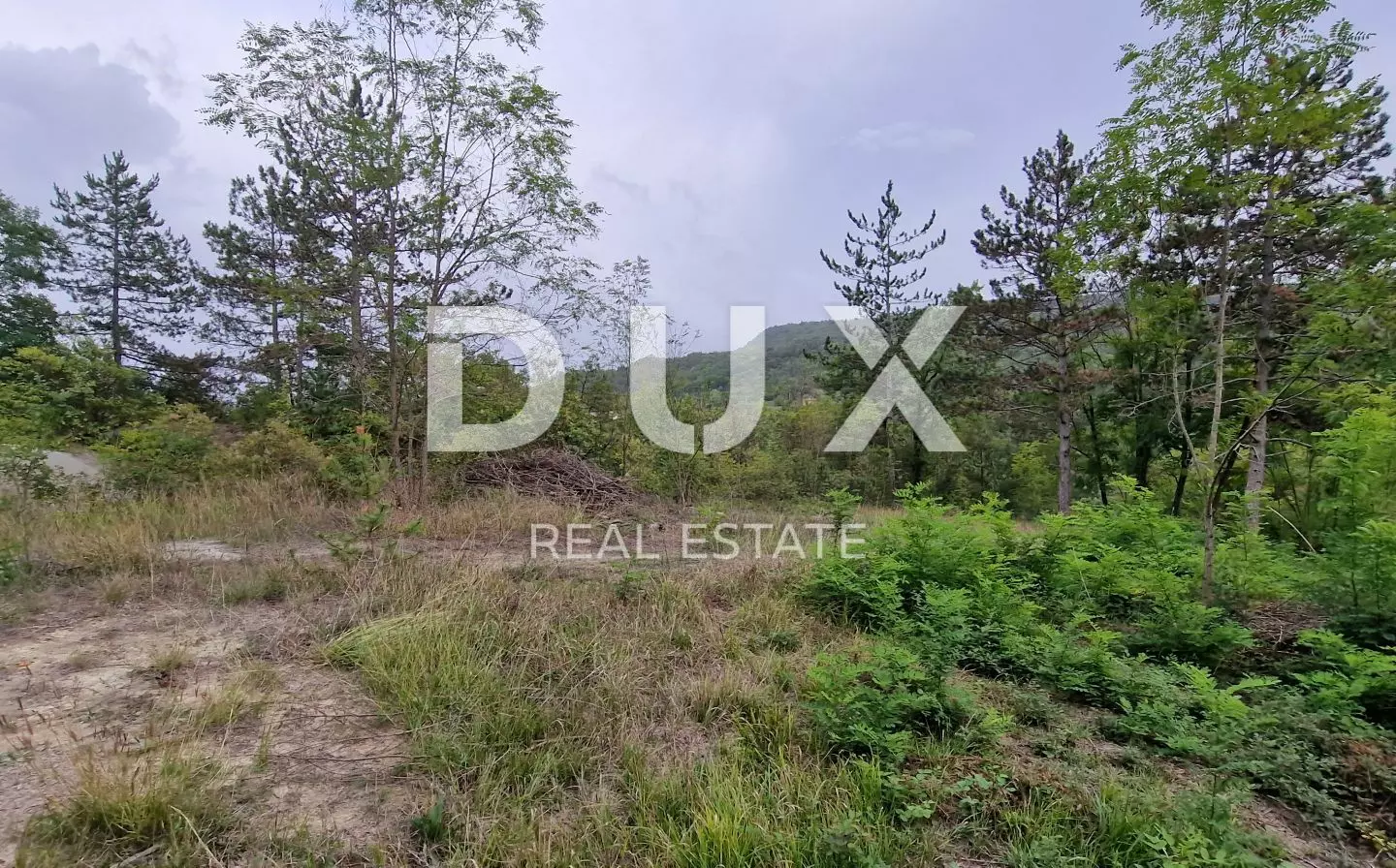 Land In Gračišće, Croatia (9.054 M²)