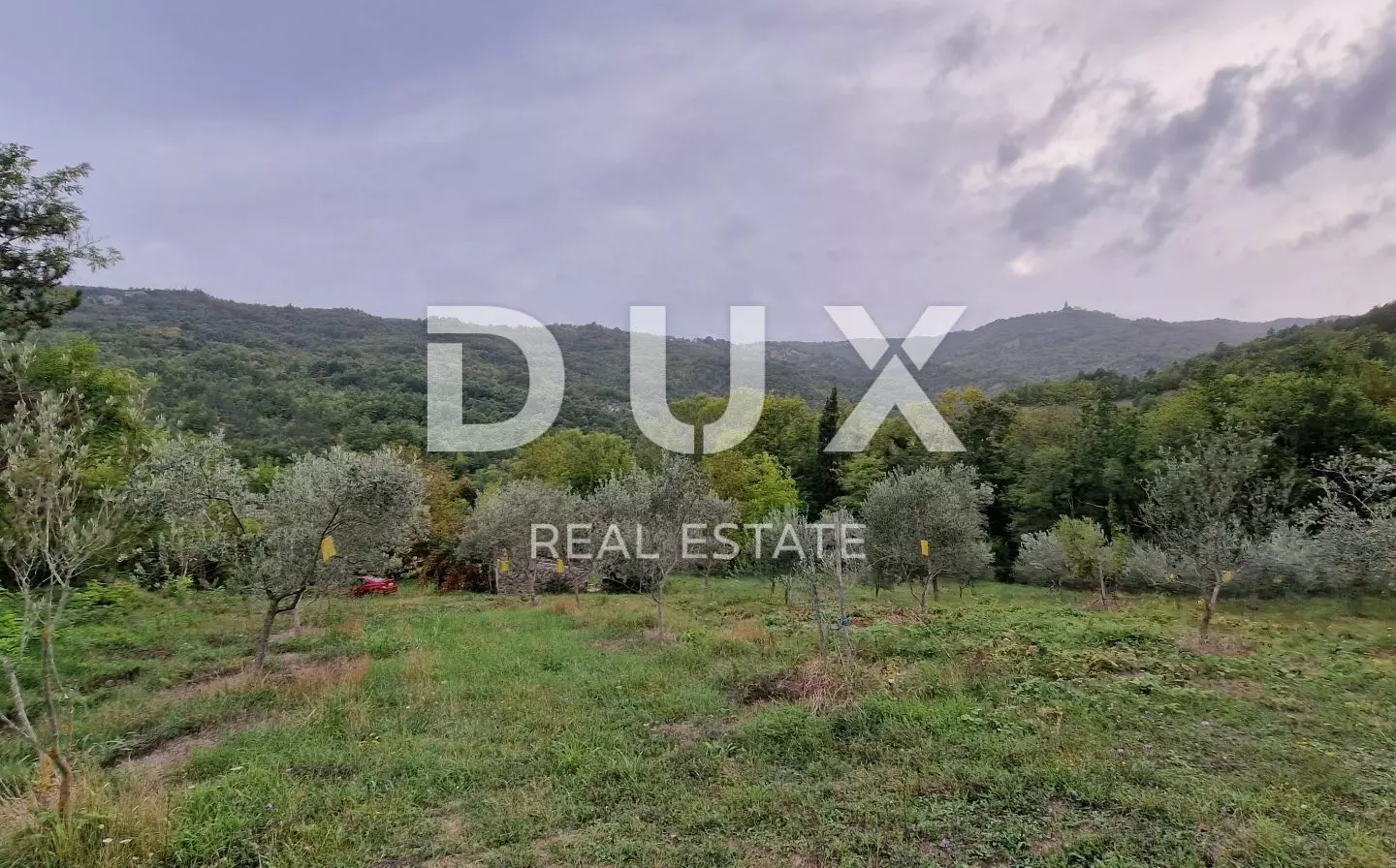 Land In Gračišće, Croatia (9.054 M²)