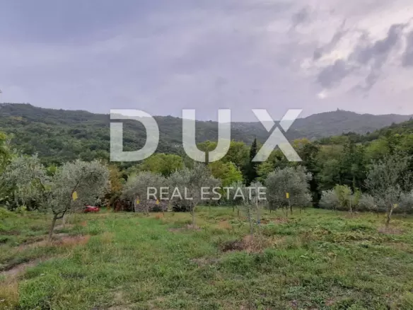 Land In Gračišće, Croatia (9.054 M²)