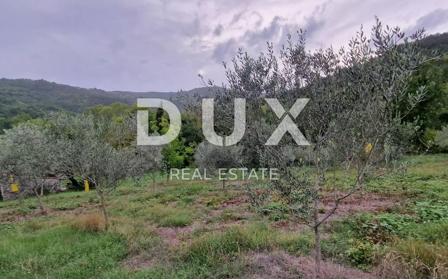 Land In Gračišće, Croatia (9.054 M²)