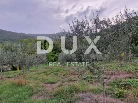 Land In Gračišće, Croatia (9.054 M²)