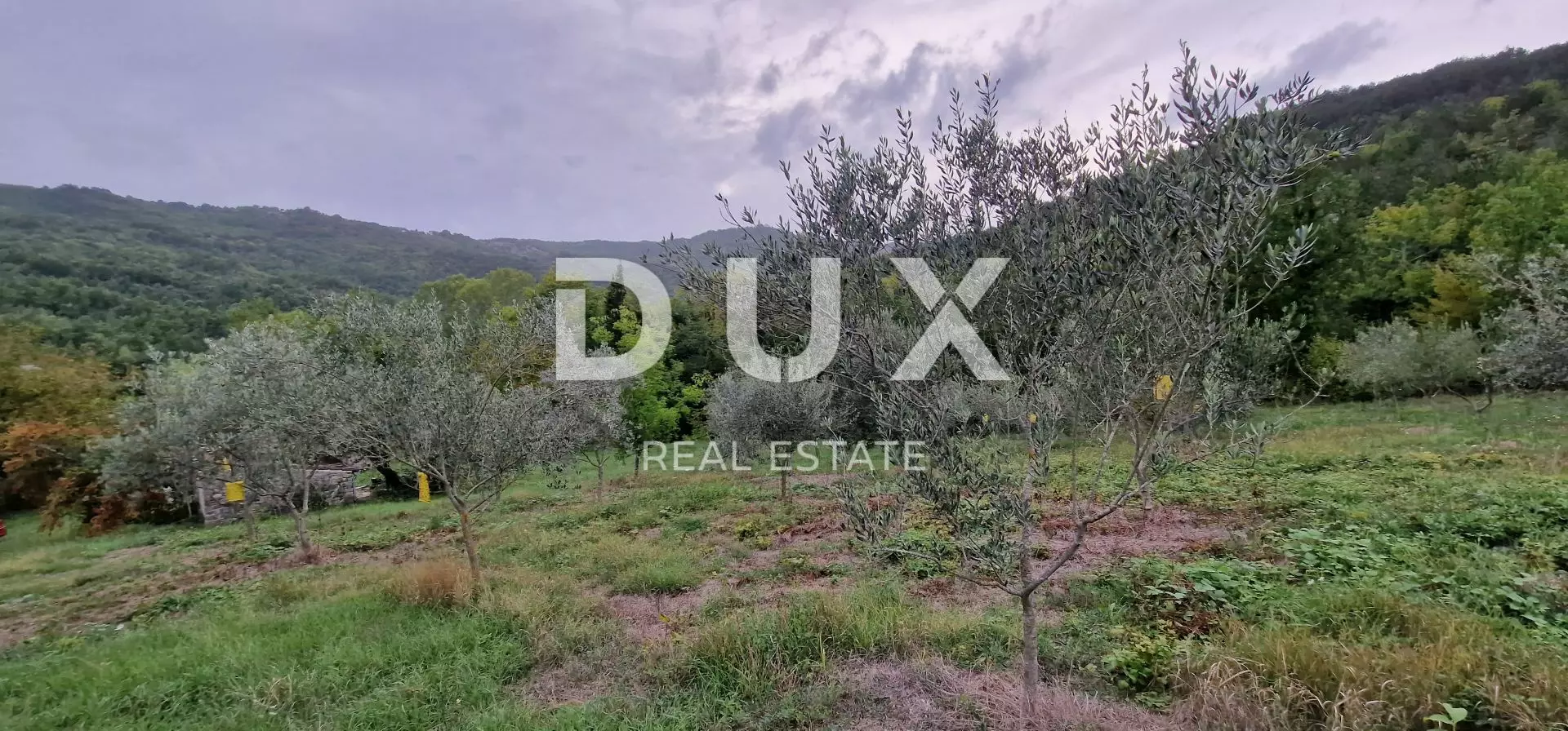 1664357682_20220915_181035-c713ab Land In Gračišće, Croatia (9.054 M²)