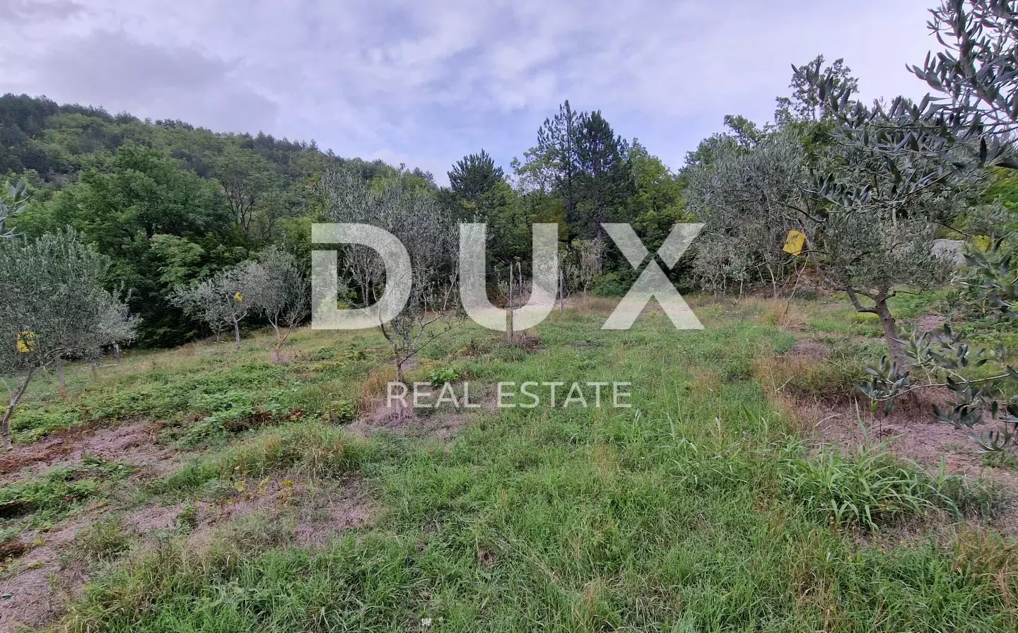 Land In Gračišće, Croatia (9.054 M²)