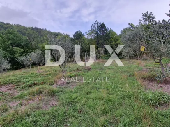 Land In Gračišće, Croatia (9.054 M²)
