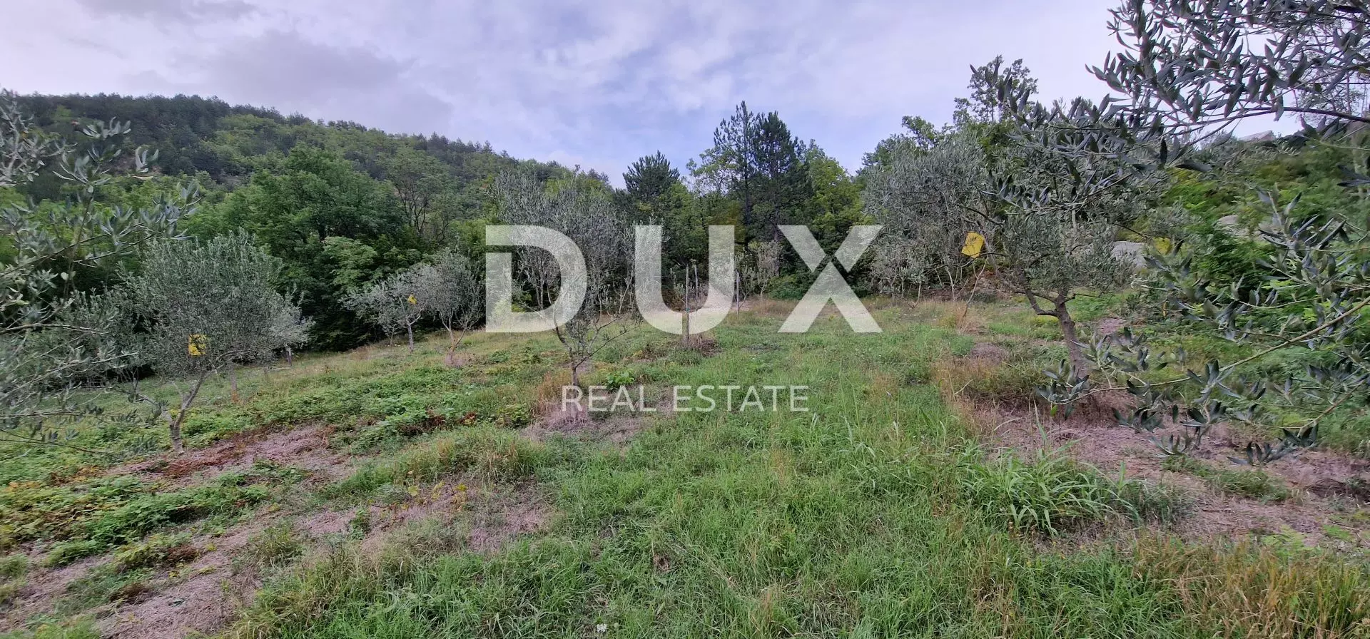 1664357694_20220915_181134-03bd4b Land In Gračišće, Croatia (9.054 M²)