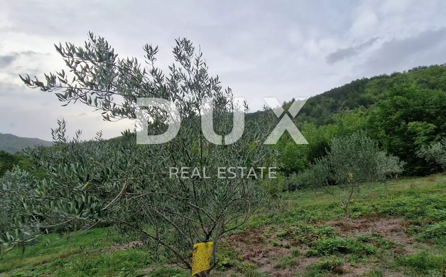 Land In Gračišće, Croatia (9.054 M²)