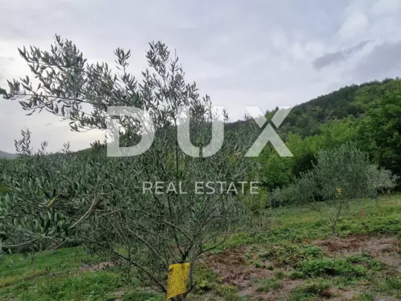 Land In Gračišće, Croatia (9.054 M²)