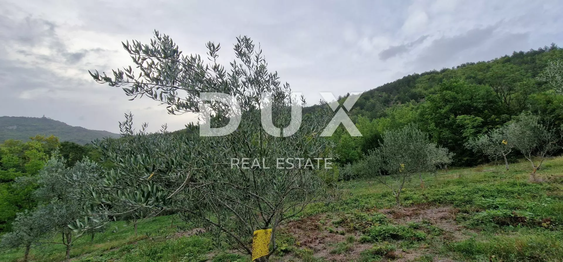 1664357706_20220915_181138-ccc5e2 Land In Gračišće, Croatia (9.054 M²)