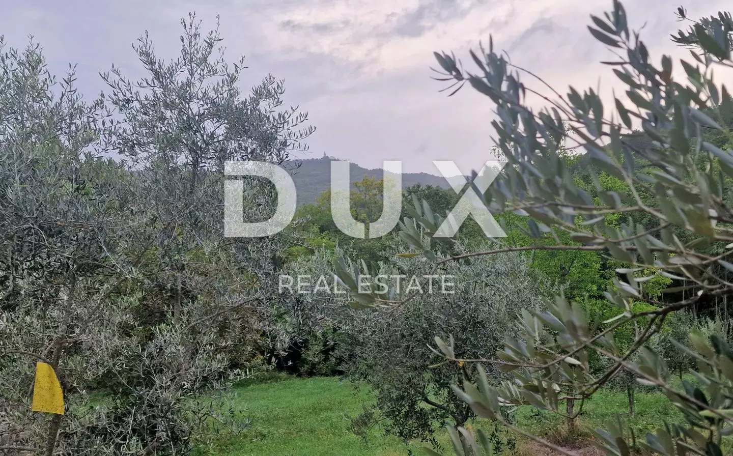 Land In Gračišće, Croatia (9.054 M²)