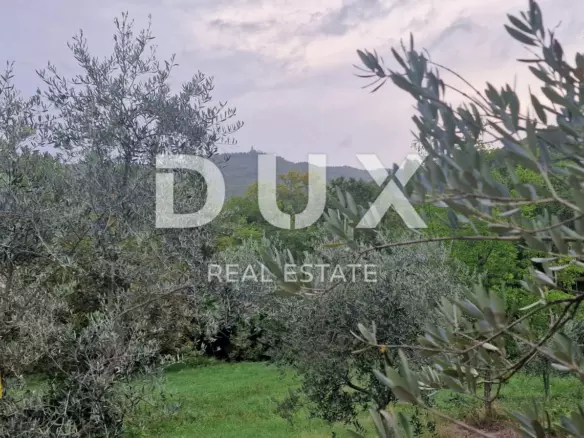 Land In Gračišće, Croatia (9.054 M²)