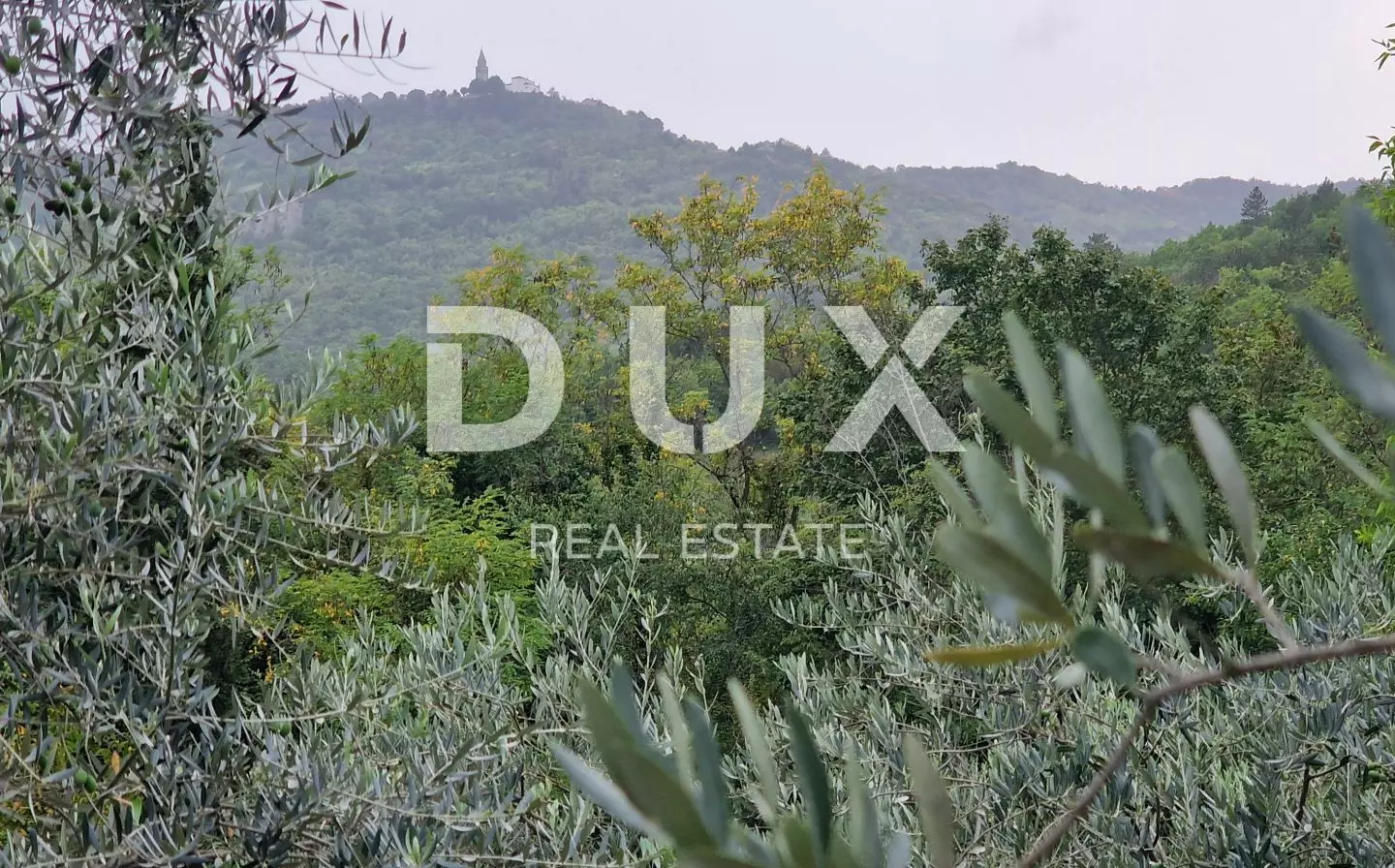 Land In Gračišće, Croatia (9.054 M²)