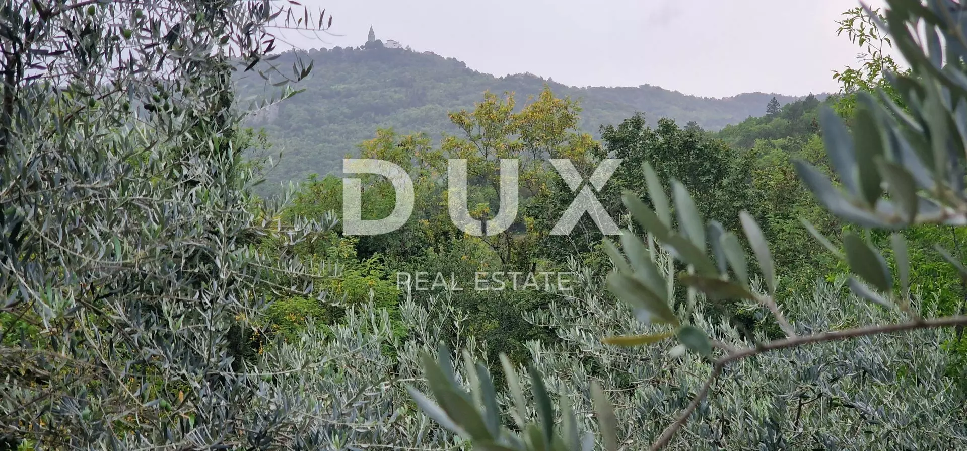 1664357729_20220915_181207-5f2835 Land In Gračišće, Croatia (9.054 M²)