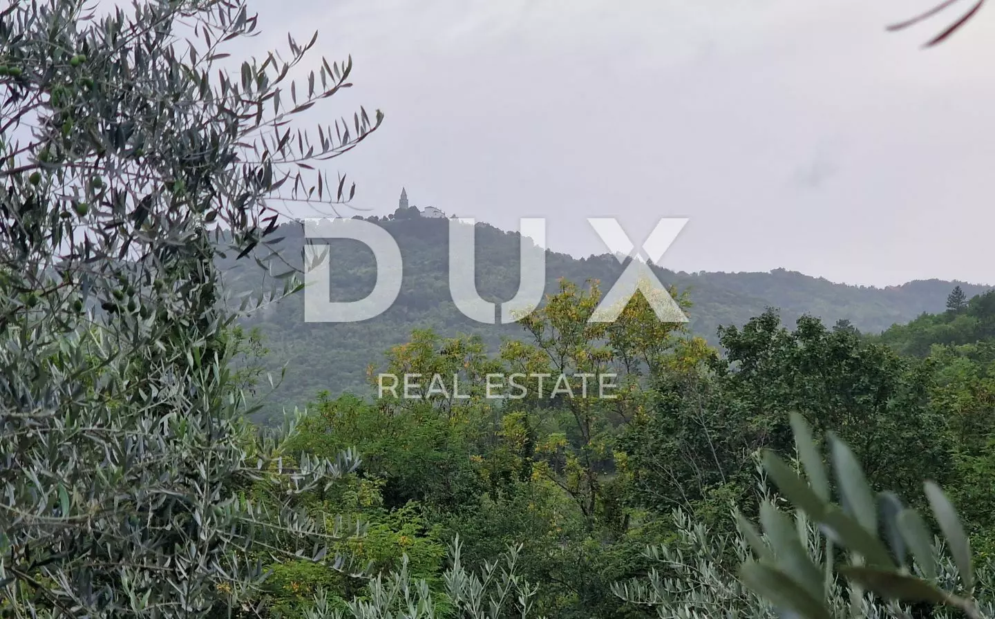Land In Gračišće, Croatia (9.054 M²)