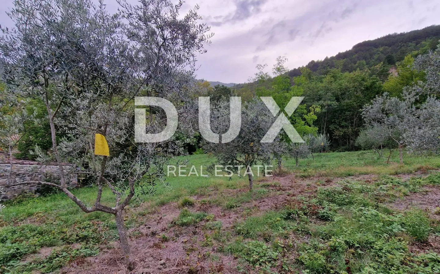 Land In Gračišće, Croatia (9.054 M²)