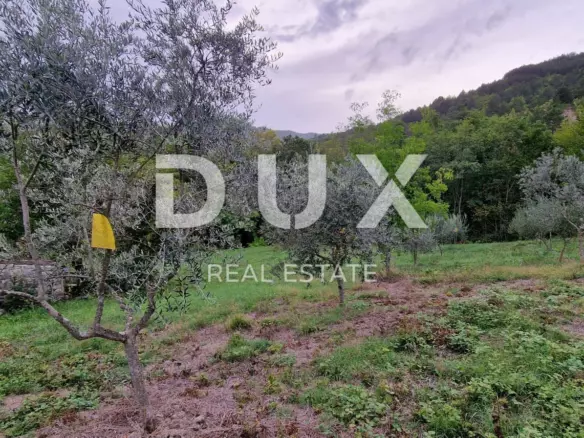 Land In Gračišće, Croatia (9.054 M²)