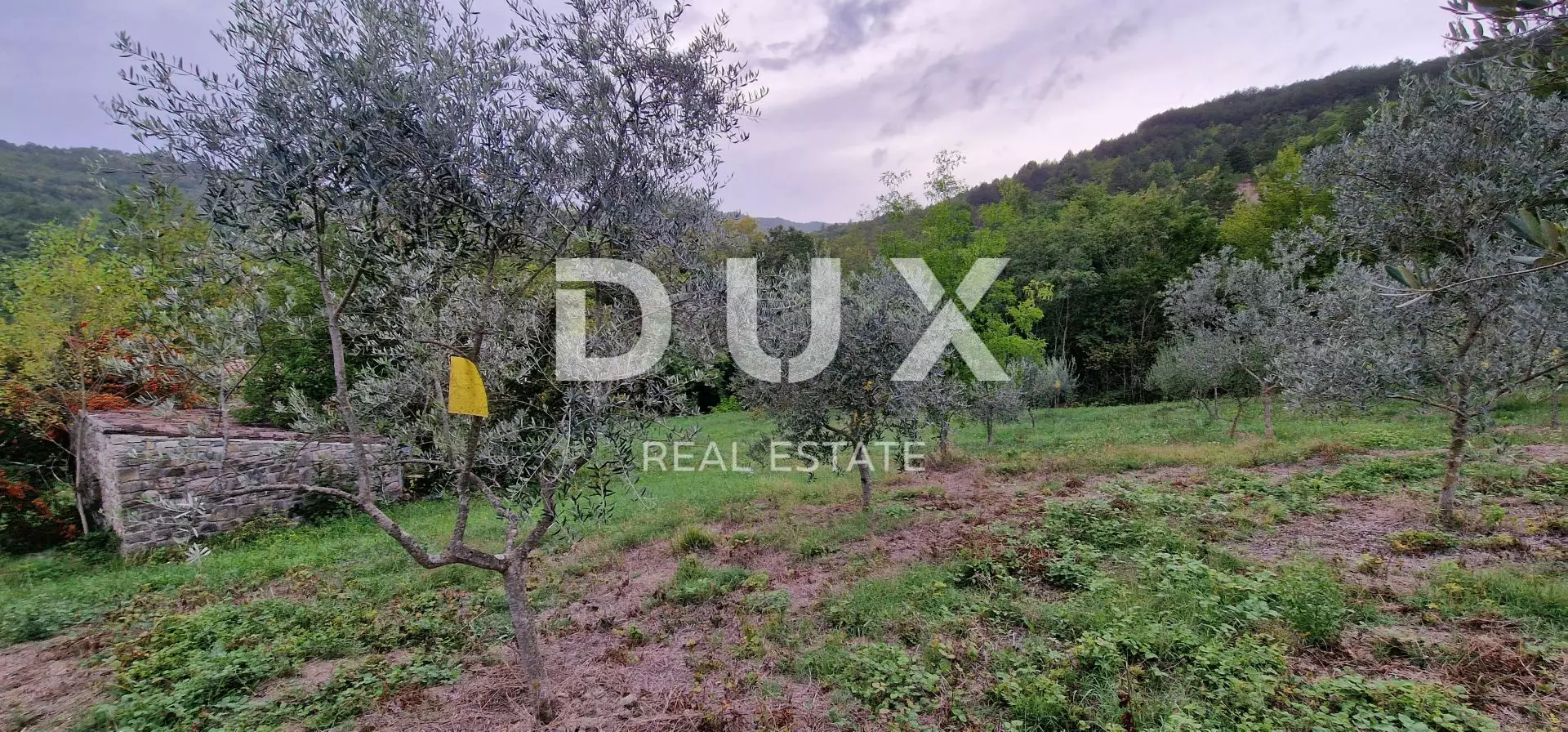 1664357752_20220915_181214-441115 Land In Gračišće, Croatia (9.054 M²)