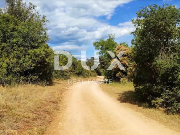 Land In Poreč, Croatia (1.500 M²)