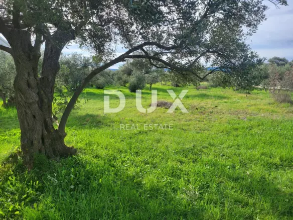 Land In Bibinje, Croatia (1.380 M²)