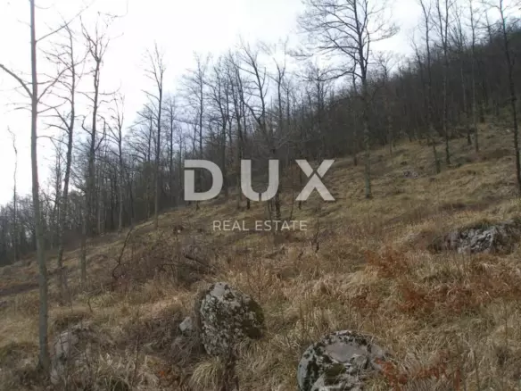 Land In Veprinac, Croatia (9.120 M²)