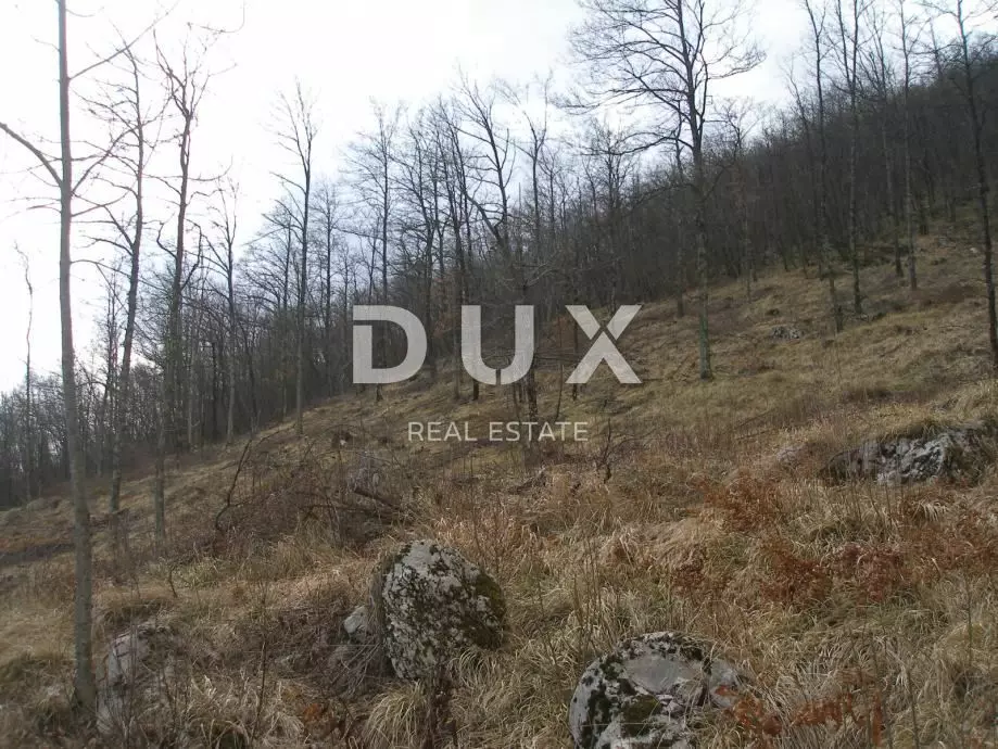 Land In Veprinac, Croatia (9.120 M²)