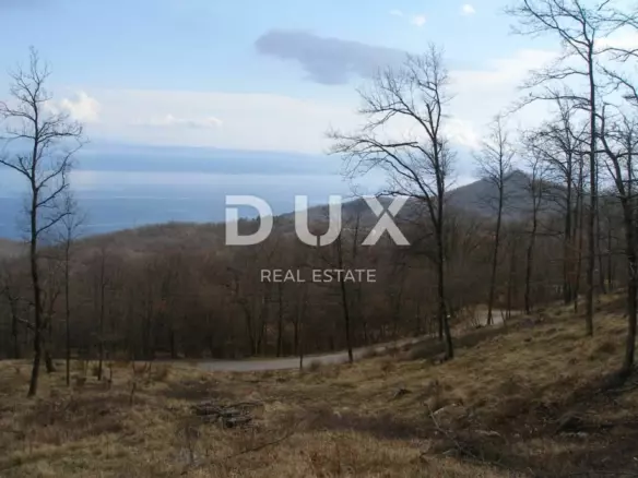 Land In Veprinac, Croatia (9.120 M²)
