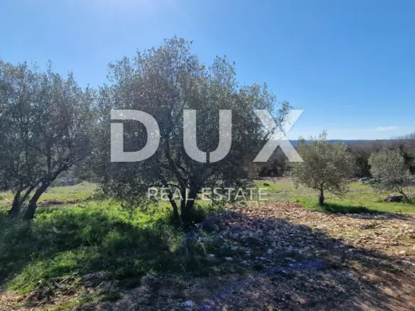 Land In Rabac, Croatia (909 M²)