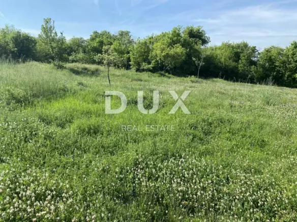 Land In Šajini, Croatia (2.216 M²)