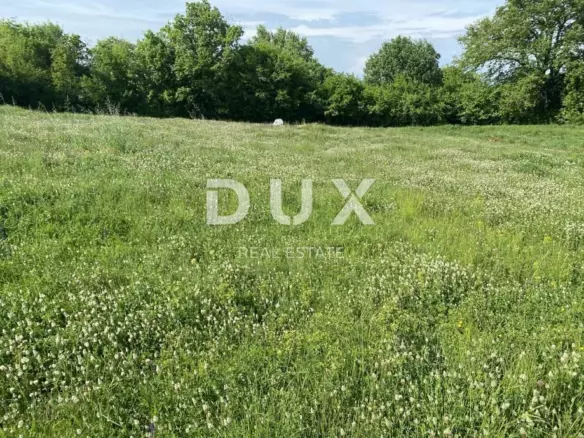 Land In Šajini, Croatia (2.216 M²)
