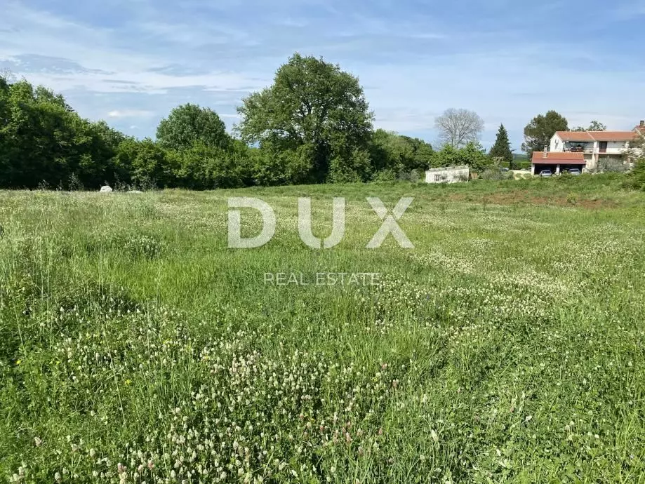 Land In Šajini, Croatia (2.216 M²)