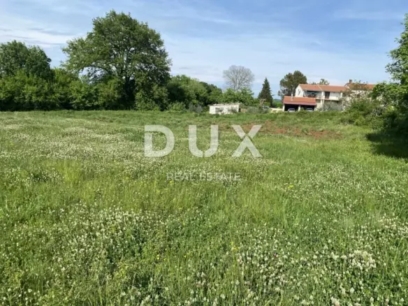 Land In Šajini, Croatia (2.216 M²)
