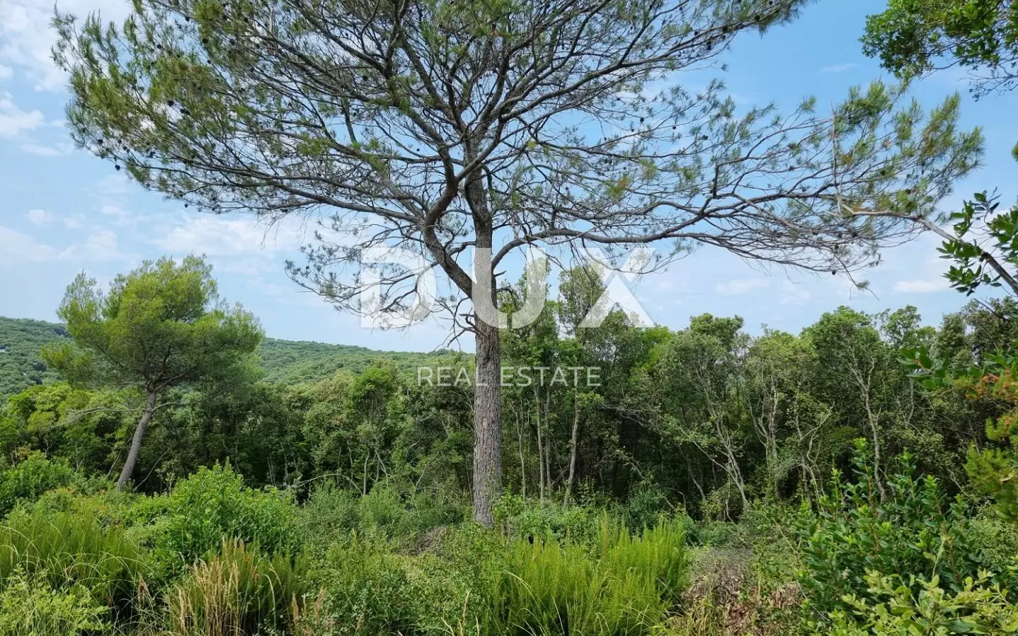 Land In Marčana, Croatia (33.613 M²)
