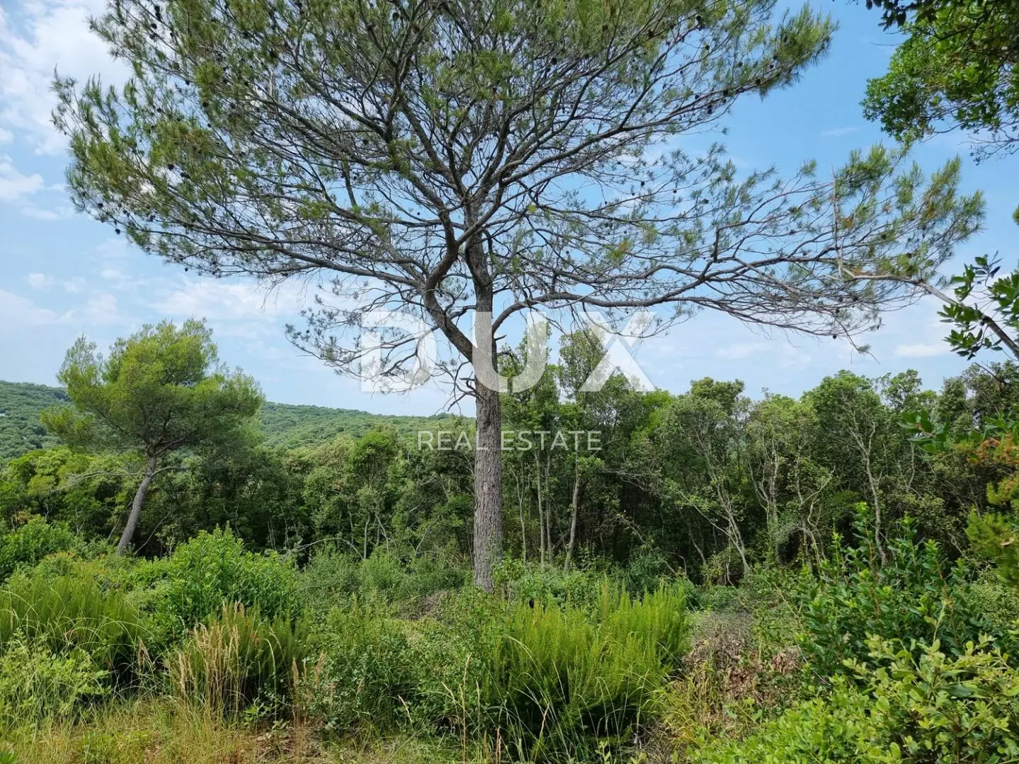 Land In Marčana, Croatia (33.613 M²)