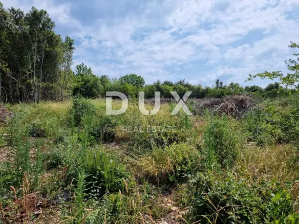 Land In Marčana, Croatia (33.613 M²)