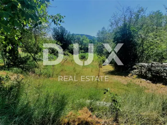 Land In Buzet, Croatia (2.892 M²)