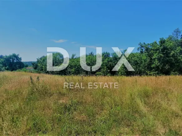 Land In Buzet, Croatia (2.892 M²)