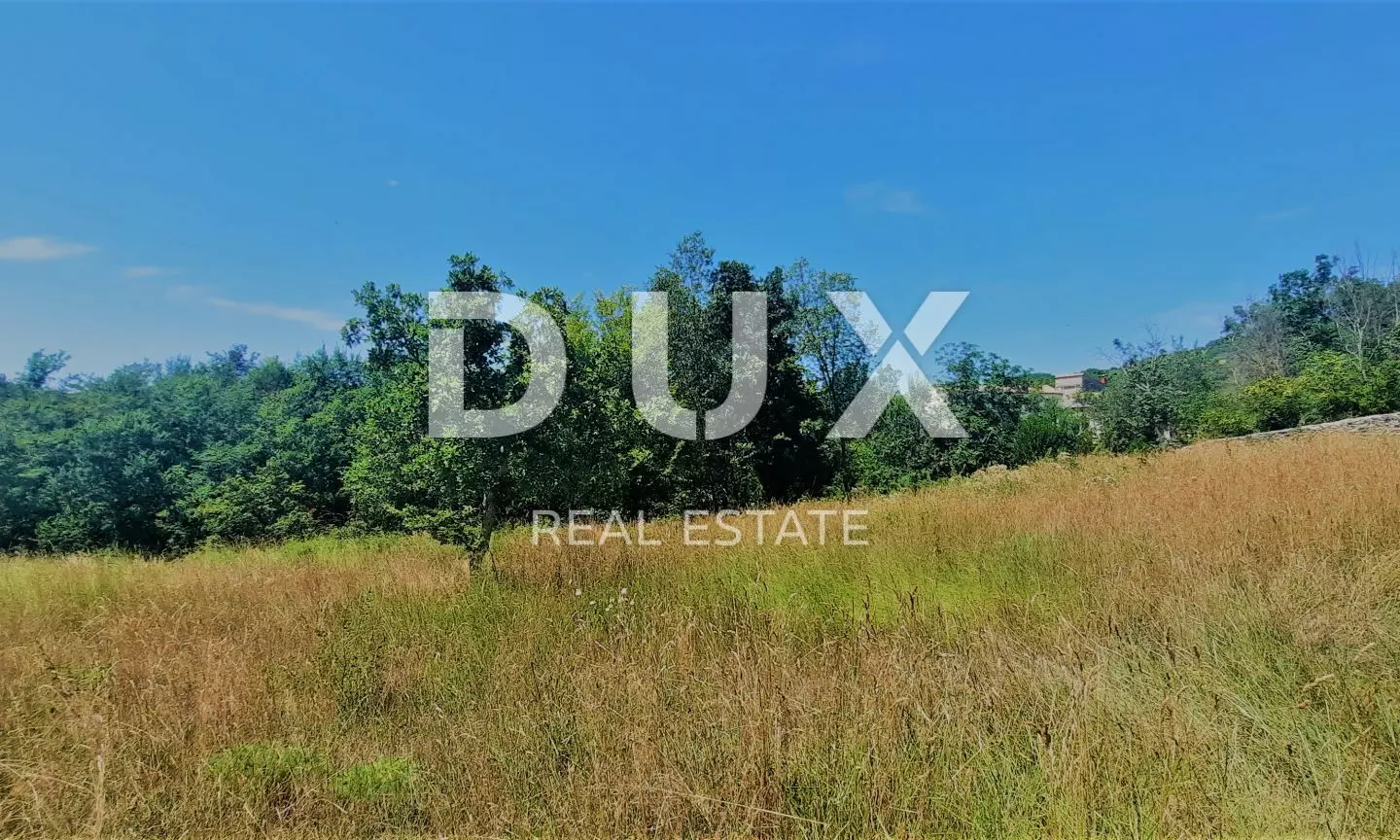 Land In Buzet, Croatia (2.892 M²)