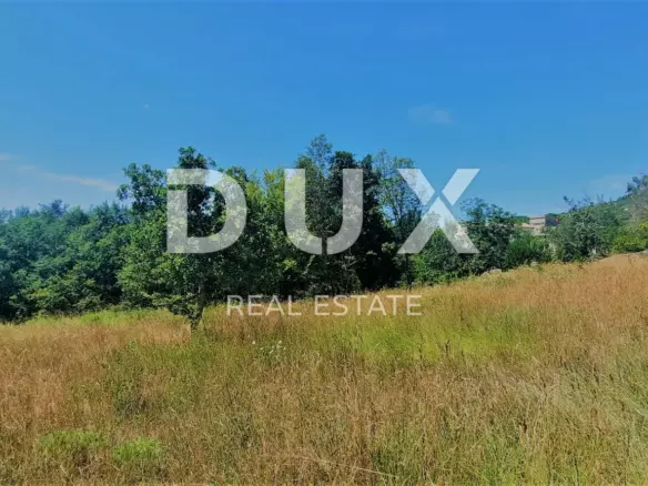 Land In Buzet, Croatia (2.892 M²)