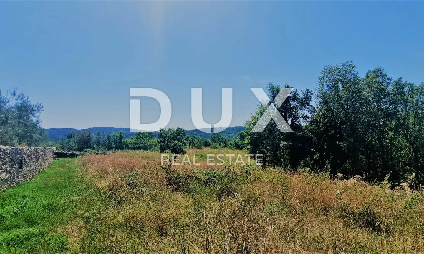 Land In Buzet, Croatia (2.892 M²)